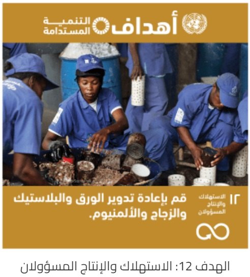 Goal 12: Responsible Consumption and Production