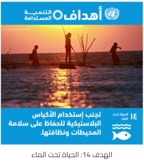 Goal 14: Life Below Water